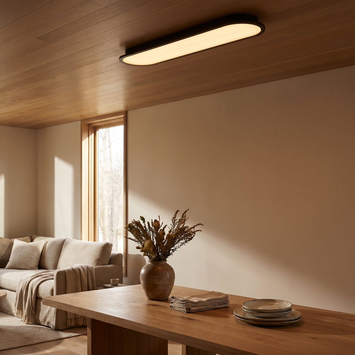 Ovalis interior