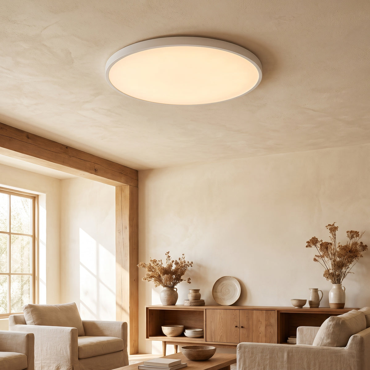 Disca interior