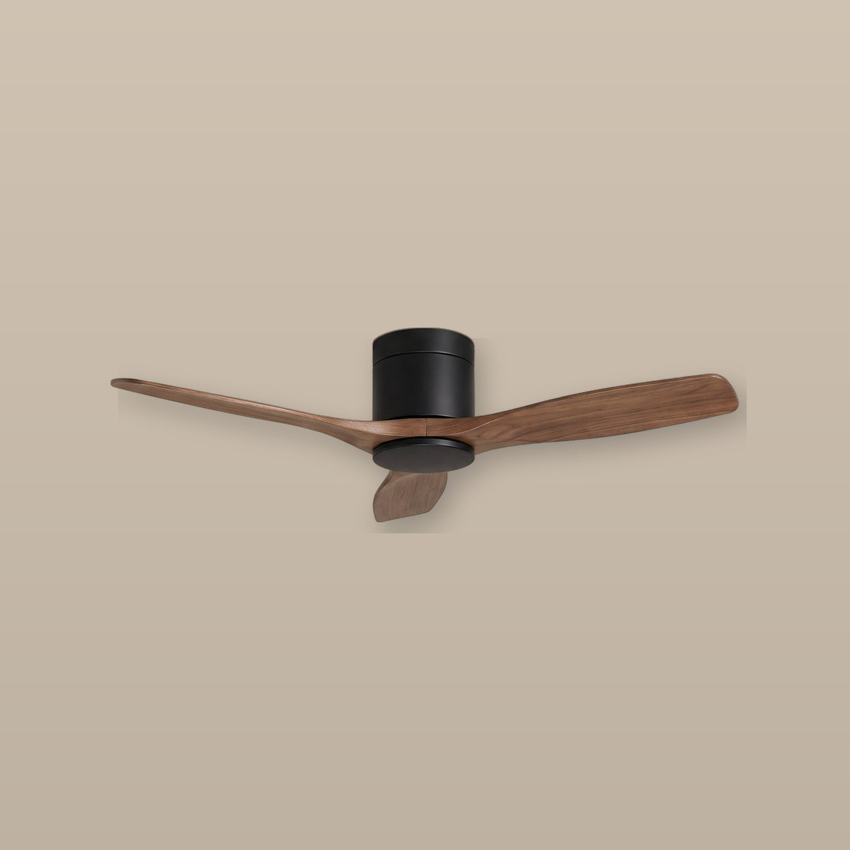 Sylva walnut low-profile ceiling fan, studio view
