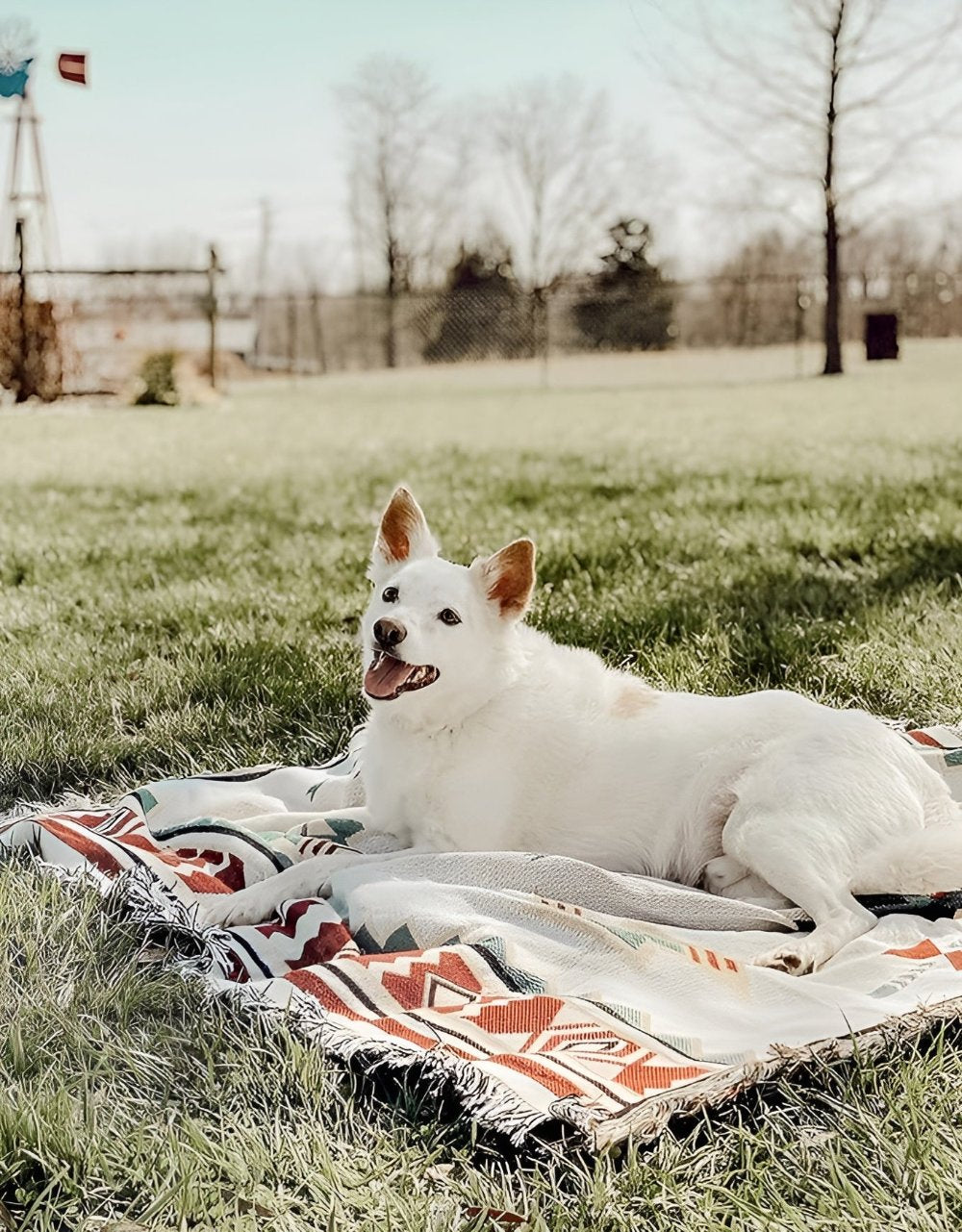 A happy white dog rests on a Serenity Escape Bohemian Chic Picnic Blanket with a colorful geometric pattern in a sunny grassy field, showcasing its eco-friendly fabric and versatility as an outdoor blanket.