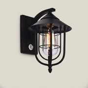 Iron Matte Black Conical Cage Motion Sensor LED Outdoor Wall Sconce