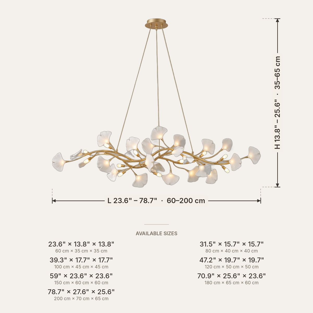 Ginkgo dimensions in inches and cm
