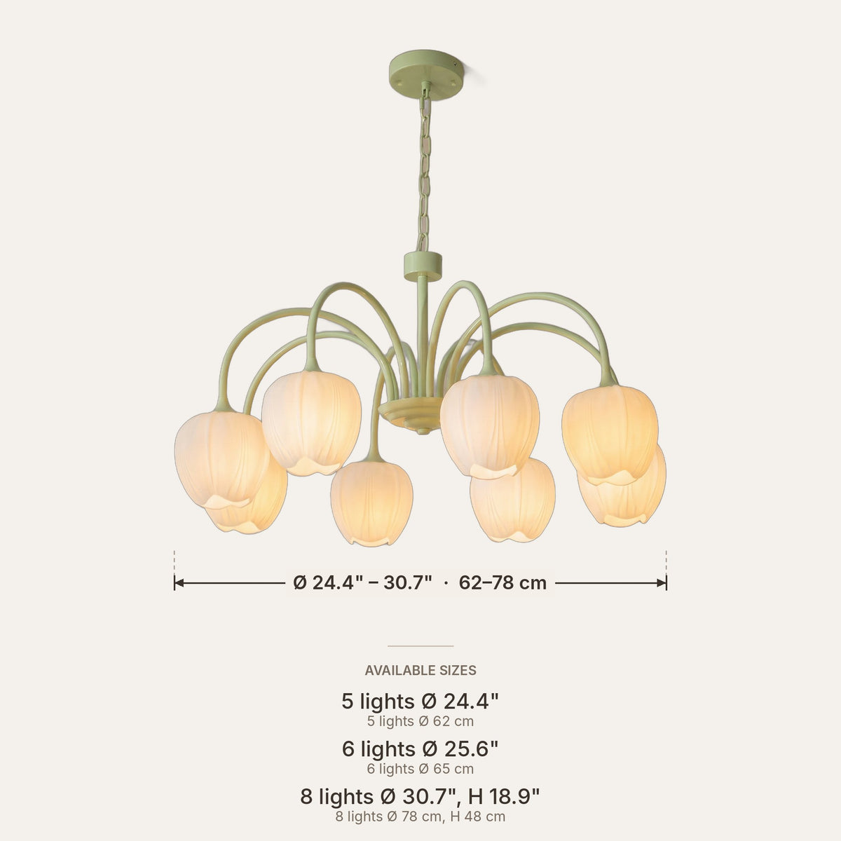 Tulipe dimensions in inches and cm