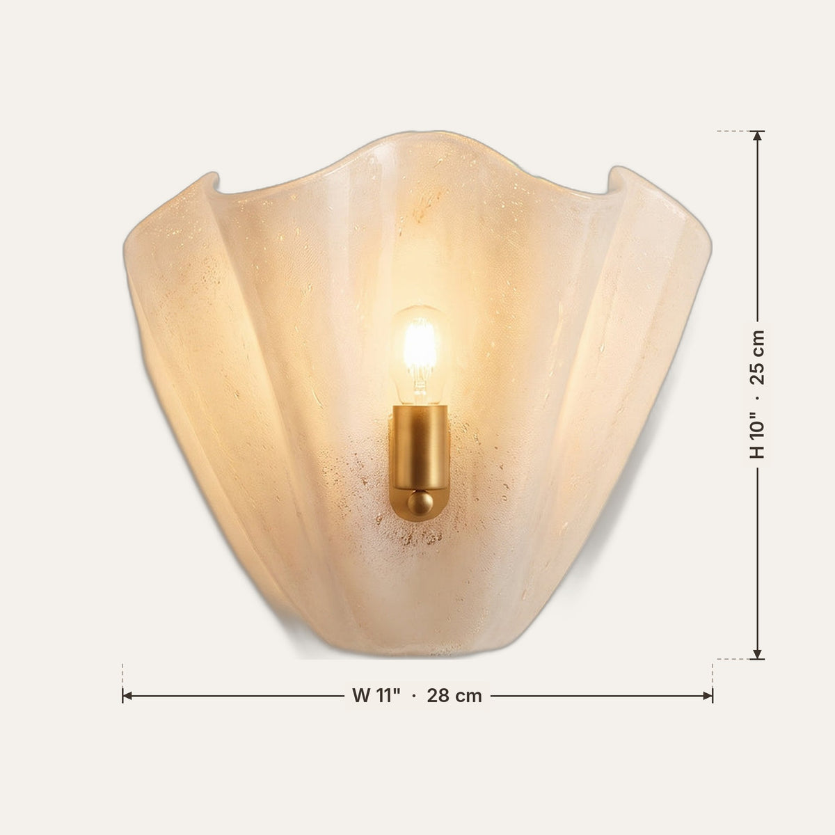 Coquille dimensions in inches and cm