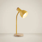 Metal Flexible Gooseneck Plug-In LED Desk Lamp