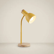 Metal Flexible Gooseneck Plug-In LED Desk Lamp