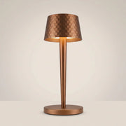 Aluminum touch dimmable USB rechargeable LED bedside lamp shown front view in brushed aluminum finish with white light lit