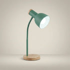 Metal Flexible Gooseneck Plug-In LED Desk Lamp