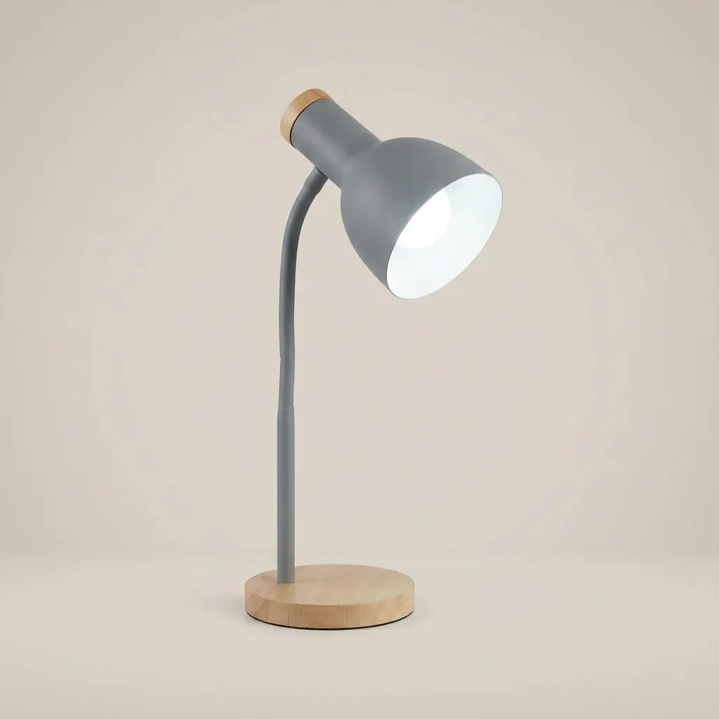 Metal Flexible Gooseneck Plug-In LED Desk Lamp